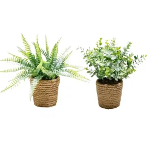 2 ASST Plant In Twine Basket (Sold Individually)
