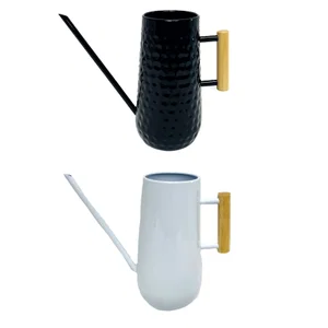 2 Asst Watering Can