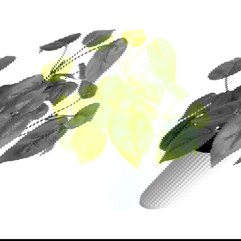 460-2021 Product Image 1