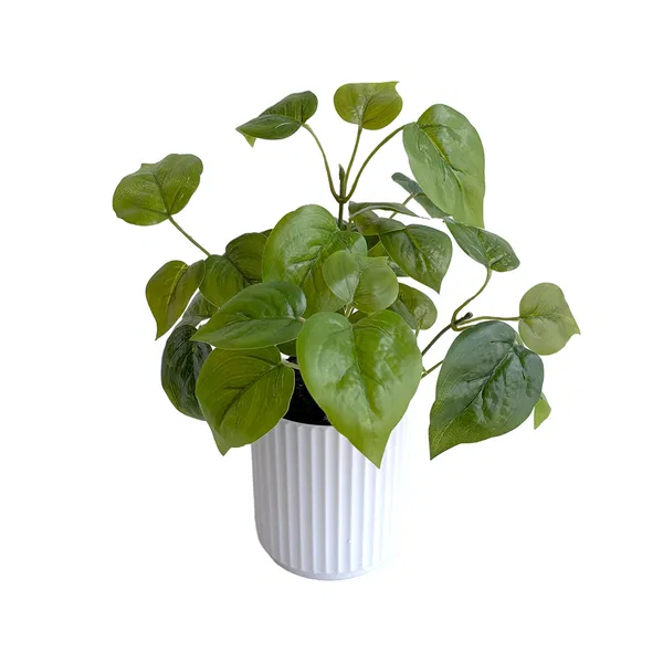 460-2021 Product Image 1