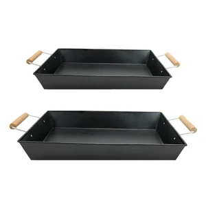 Set of 2 Black Trays