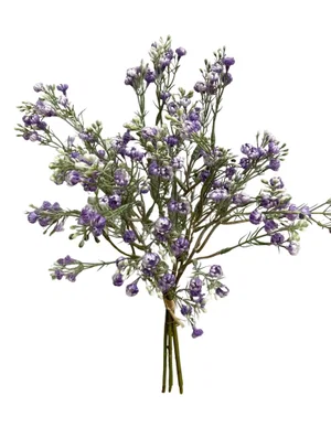 Lavender Baby's Breath Bundle