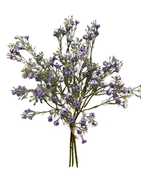 460-2032 Product Image 1