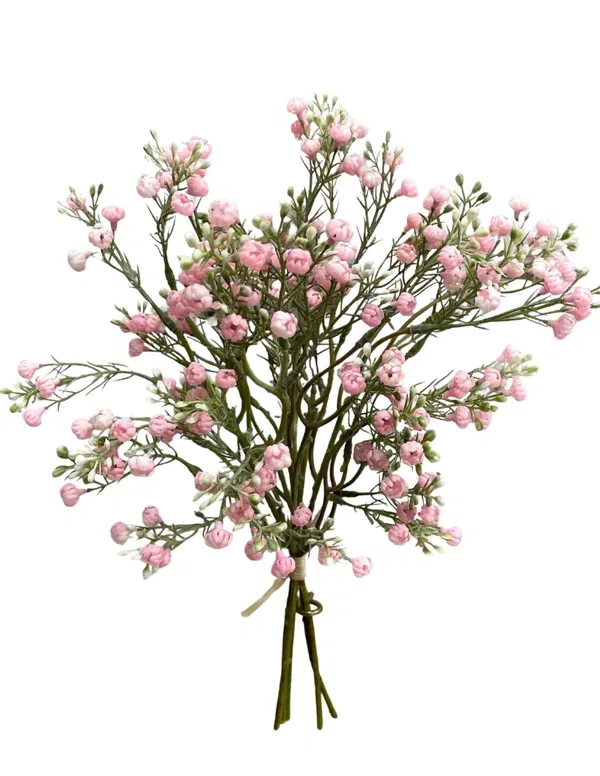 460-2034 Product Image 1