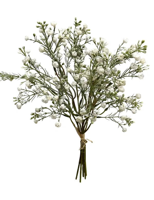460-2035 Product Image 1