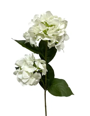 32" Fresh Touch White Hydrangea x 2 Stem