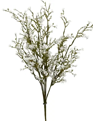 22" White Seedum Seed Bush