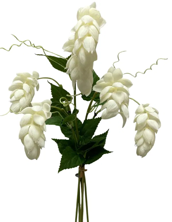 460-2042 Product Image 1