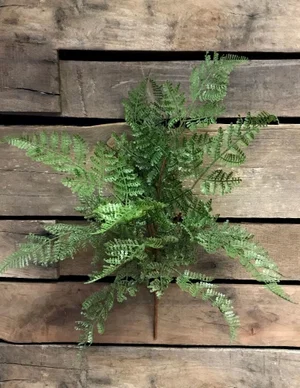 17" Fresh Touch Lace Fern Bush