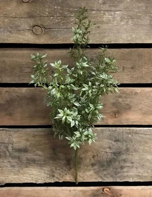 19" Tea Leaf Bush