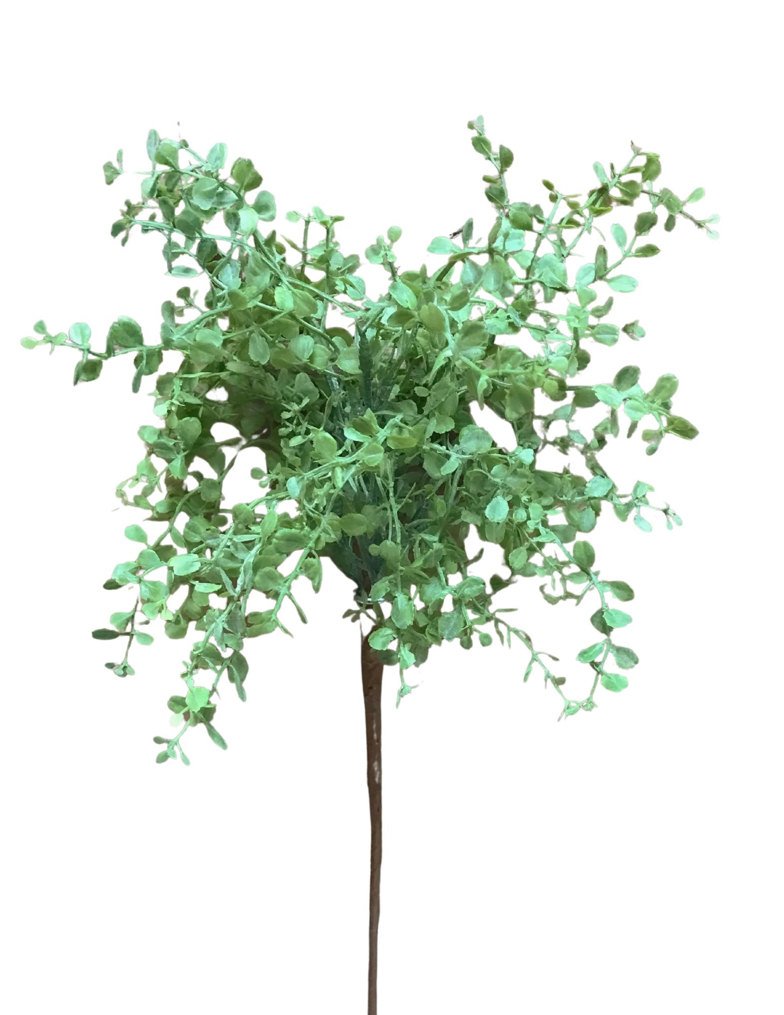 460-2049 Product Image 1