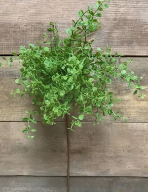 12" Green Baby Tears Spray