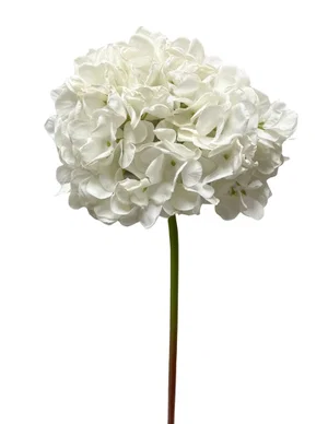 23" White Dried Look Hydrangea Stem