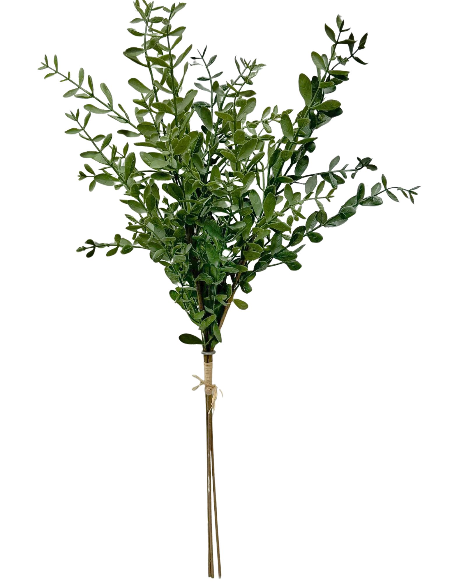 460-2054 Product Image 1