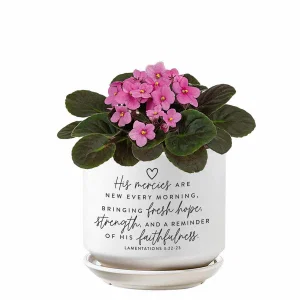 Planter His Mercies Are New Morning