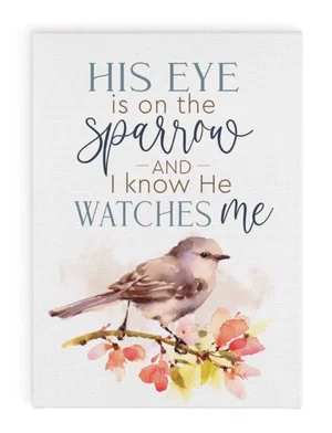 Canvas His Eye Is On