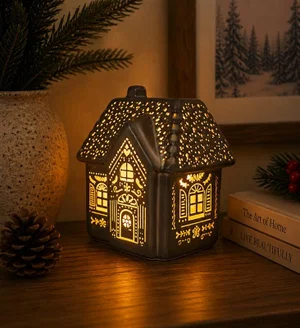 Brown LED House