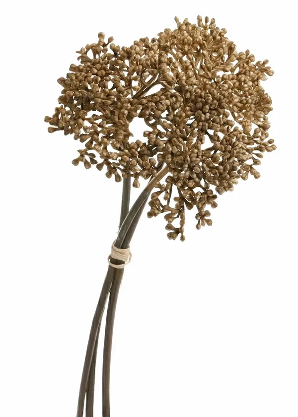 460-2207 Product Image 1