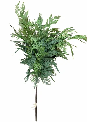 28" Northern White Cedar Bundle