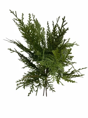 16" Northern White Cedar Bundle
