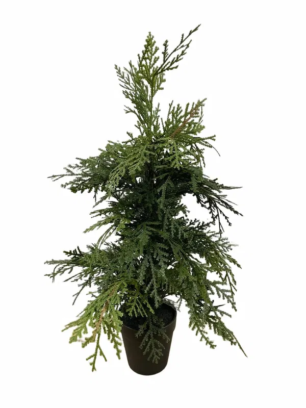 460-2222 Product Image 1