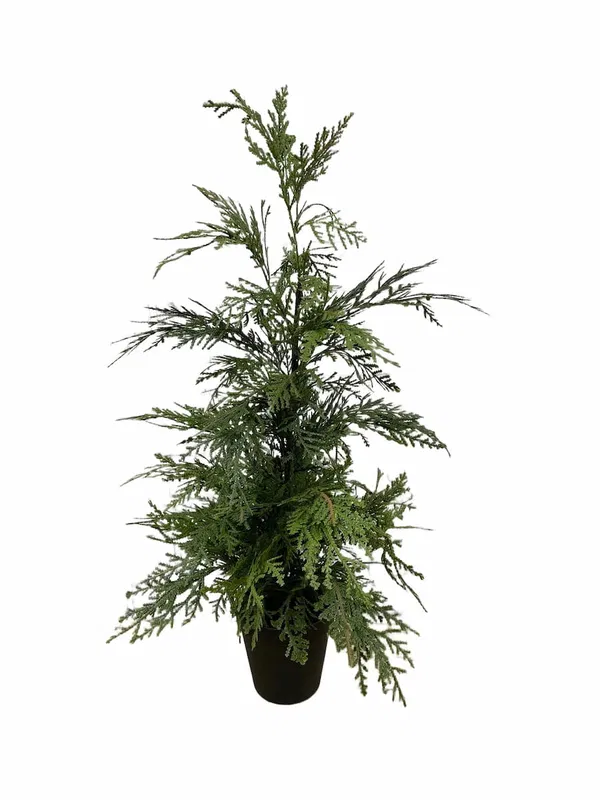 460-2223 Product Image 1