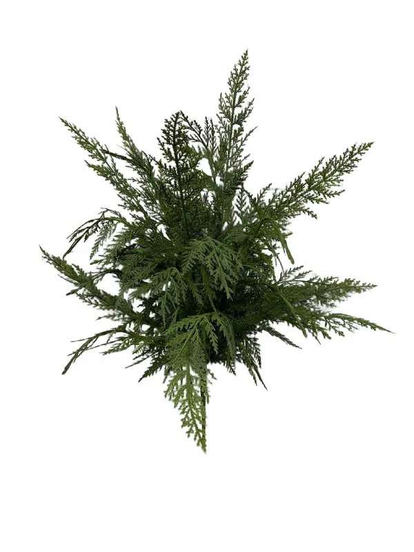 460-2226 Product Image 1