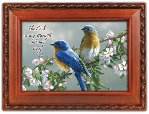 465-0029 Product Image 1