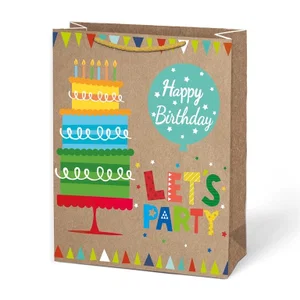 Bday Party Large Gift Bag