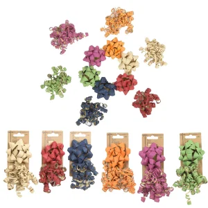 Paper T. 1pc Kraft 4" Star Bow w/1pc Curly Swirl, 6 Colours