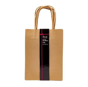 4pk Kraft Gift Bags, 8.7"x6.3"x3"