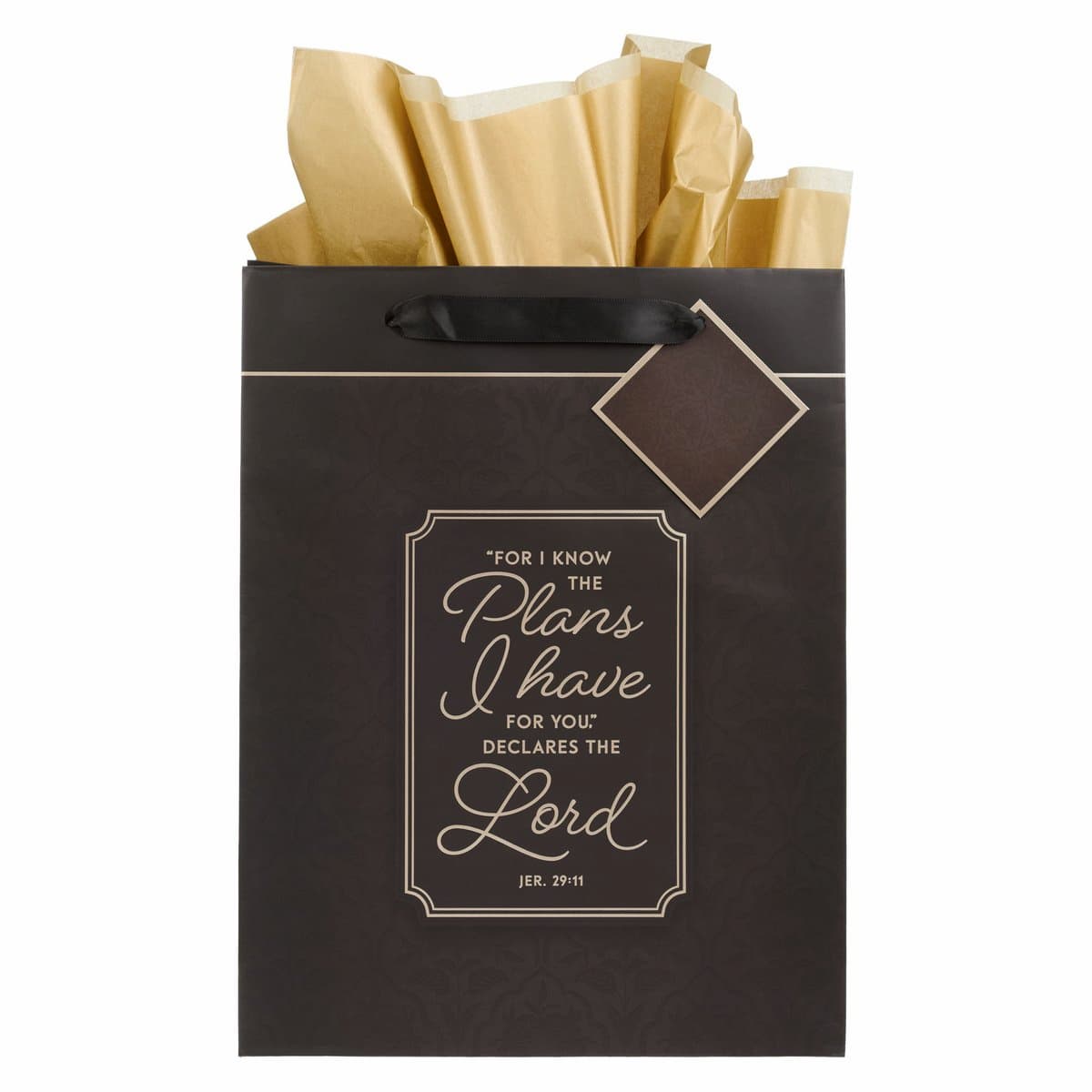 Image of Gift Bag LG Portrait I Know the Plans Jer. 29:11