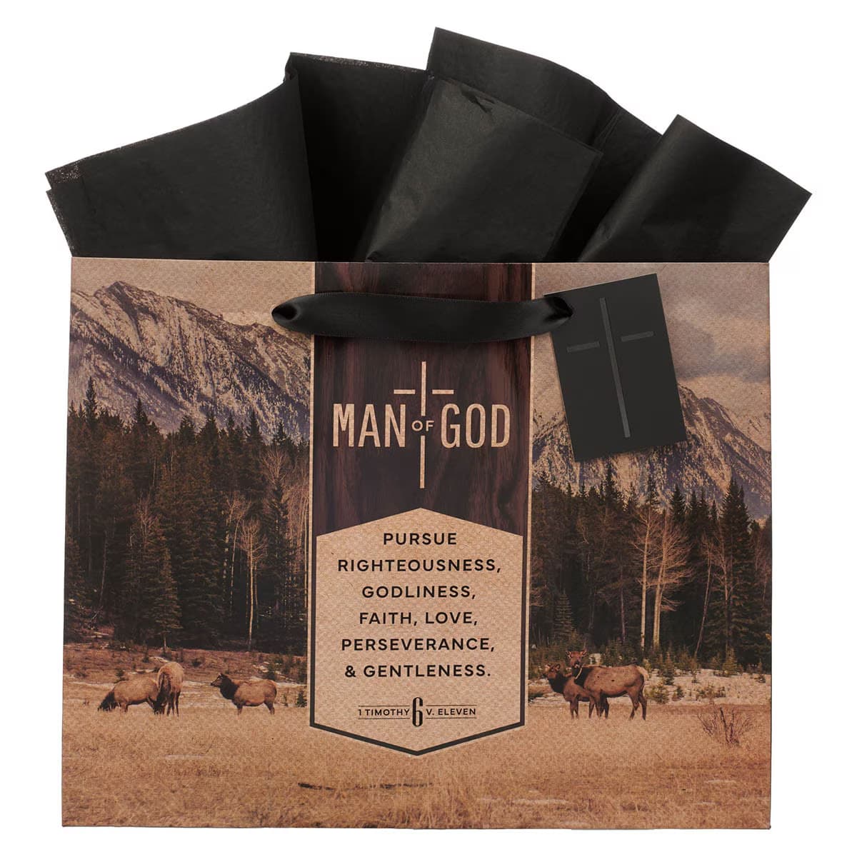 Image of Gift Bag LG Landscape Man of God 1 Tim. 6:11