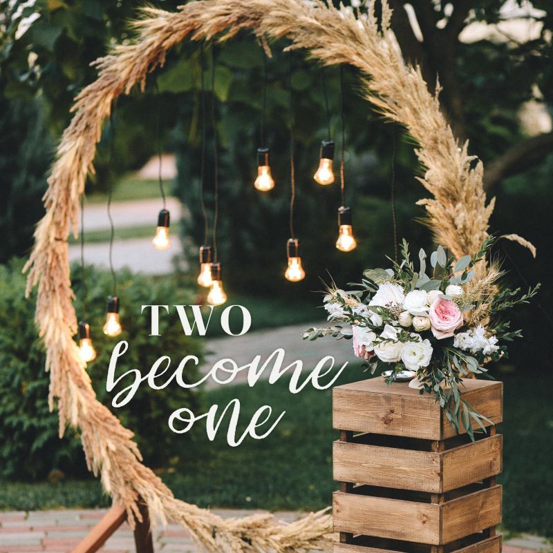 540-0043 Product Image 1