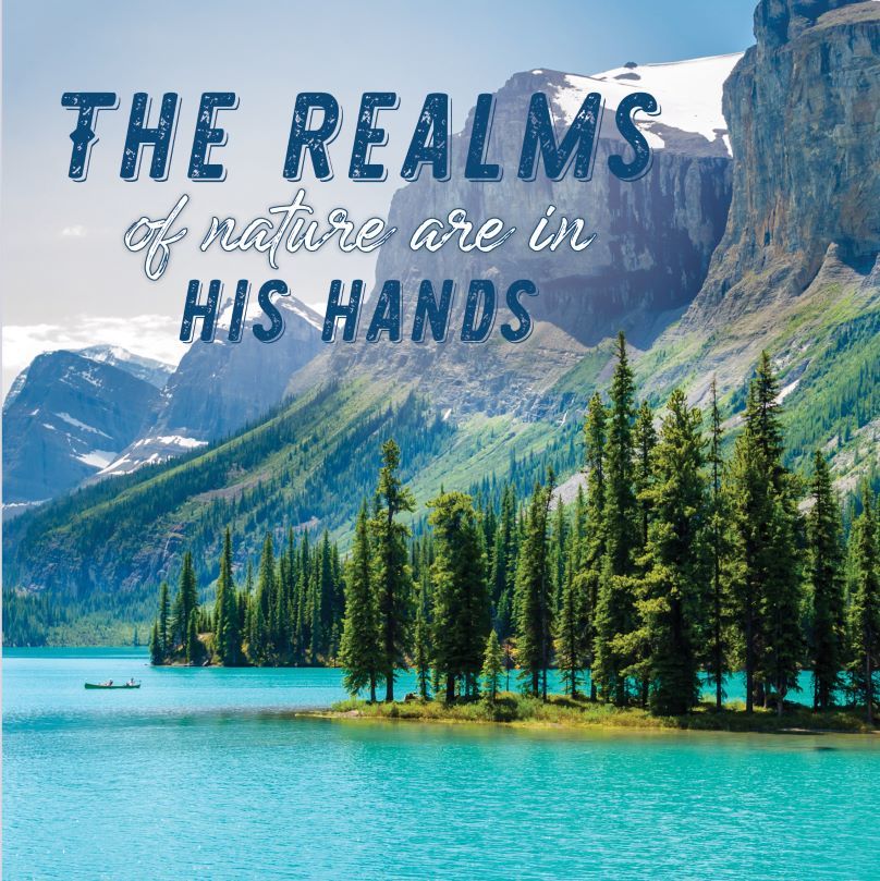 540-0046 Product Image 1