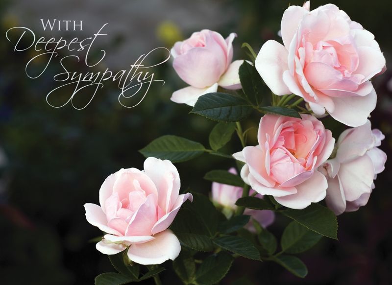 540-0069 Product Image 2