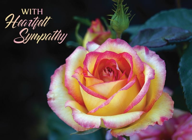 540-0069 Product Image 4