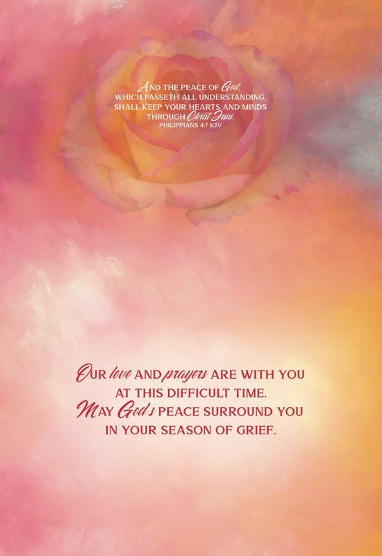 540-0069 Product Image 5