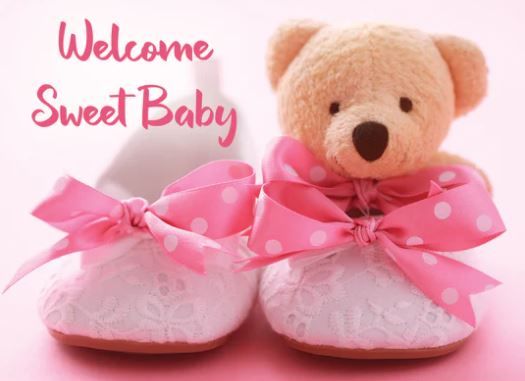 540-0080 Product Image 5