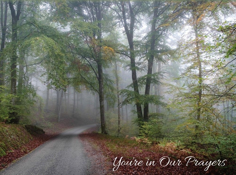 540-0104 Product Image 4