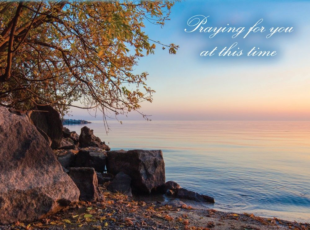 540-0104 Product Image 6