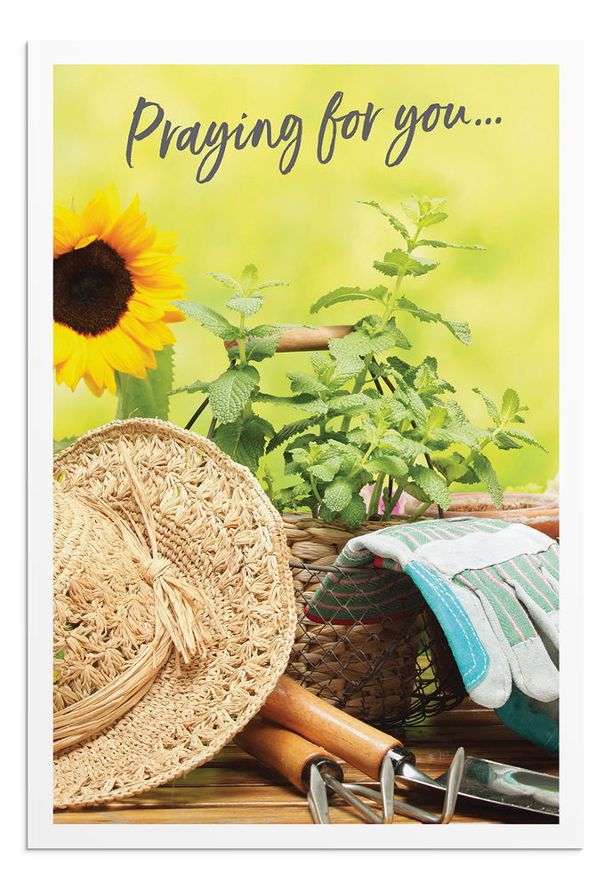 Product 540-0136 - View 3 540-0136 Product Image 3