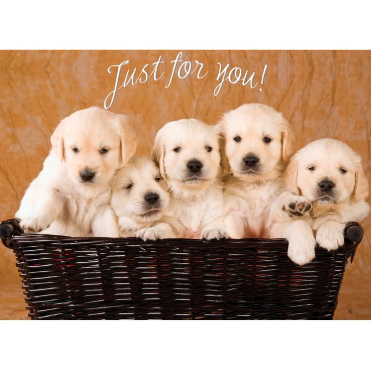 540-0139 Product Image 5