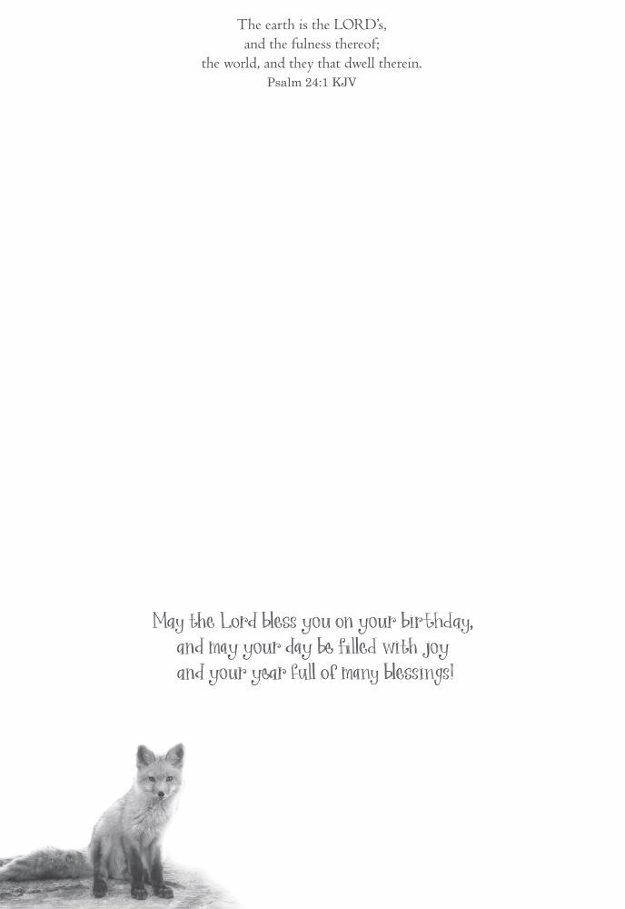 540-0141 Product Image 5