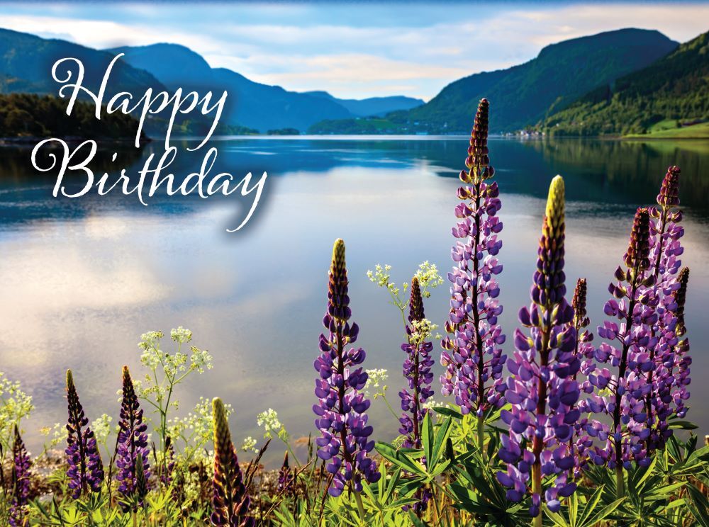 540-0142 Product Image 2