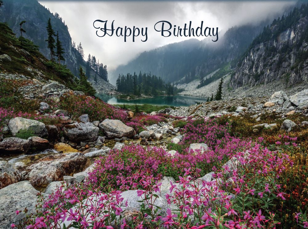 540-0142 Product Image 4