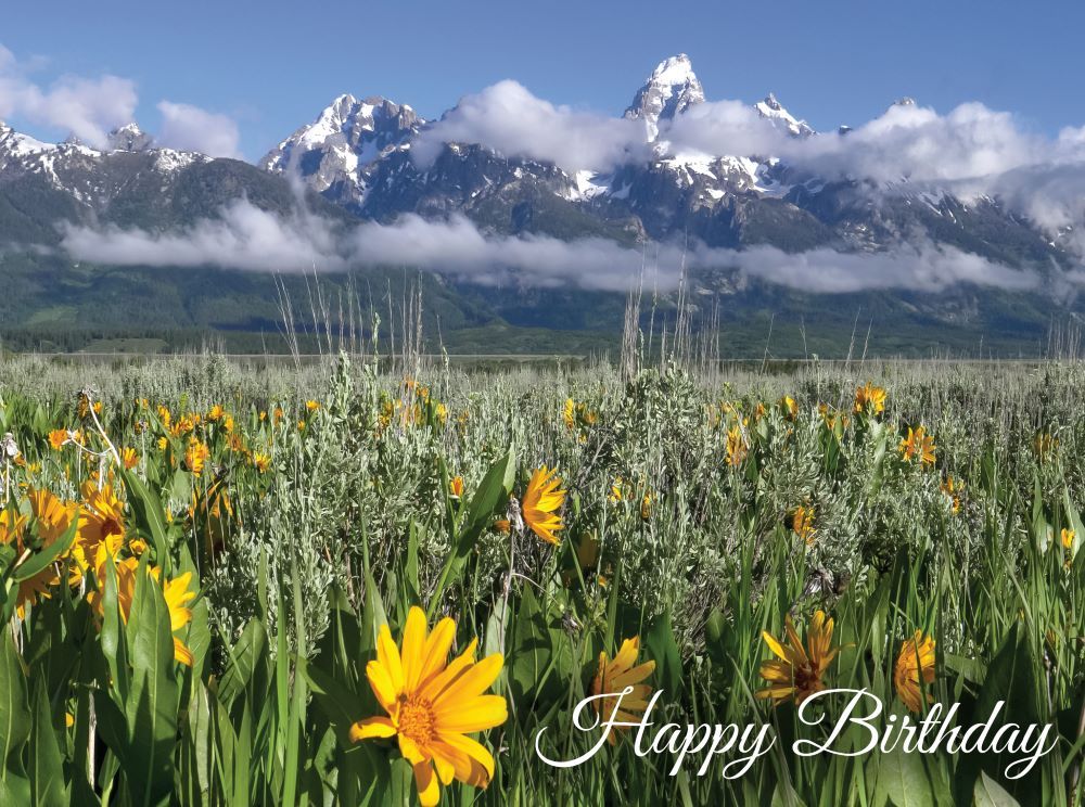 540-0142 Product Image 6