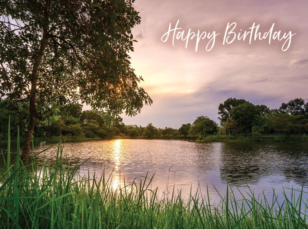 540-0142 Product Image 8