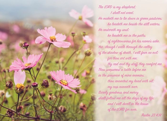 540-0144 Product Image 2