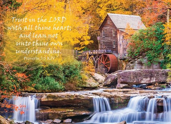 540-0144 Product Image 4